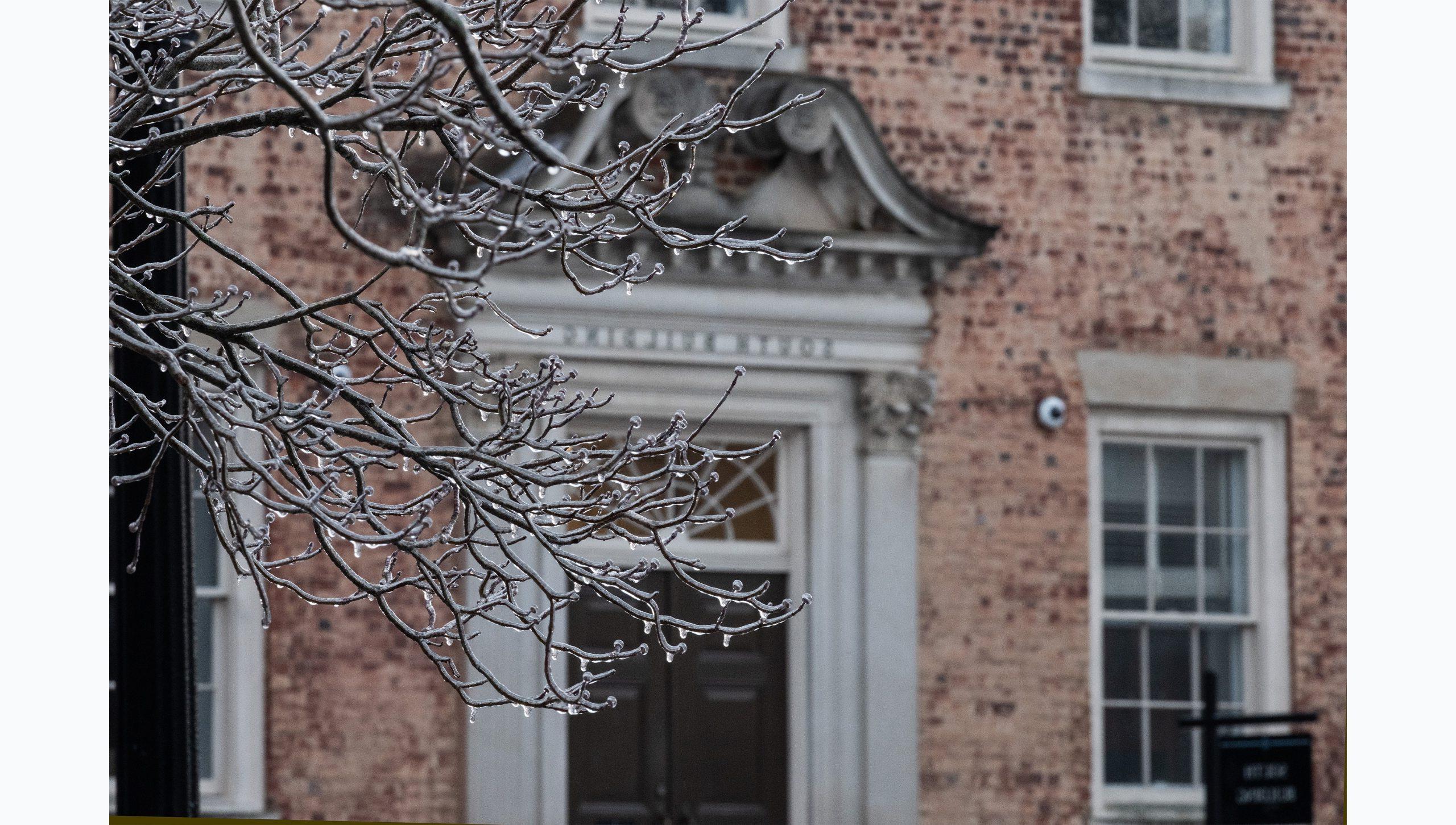 Tree limbs covered in ice and snow on the campus of U.N.C Chapel Hill. South Building is seen in the background.